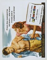 Picnic movie poster (1955) Poster MOV_1854a200