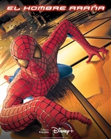 Spider-Man movie posters (2002) hoodie #3604525