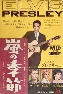 Wild in the Country movie posters (1961) Poster MOV_1872014