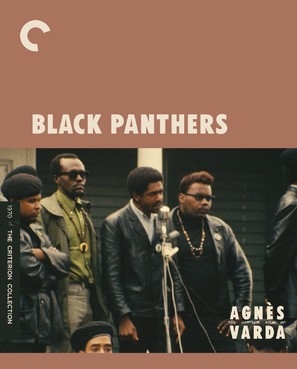 Black Panthers movie posters (1968) hoodie