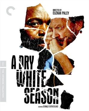 A Dry White Season movie posters (1989) calendar