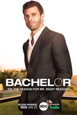 The Bachelor movie posters (2002) calendar