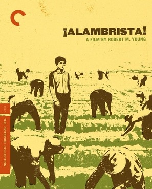 Alambrista! movie posters (1977) tote bag