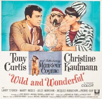 Wild and Wonderful movie posters (1964) Sweatshirt