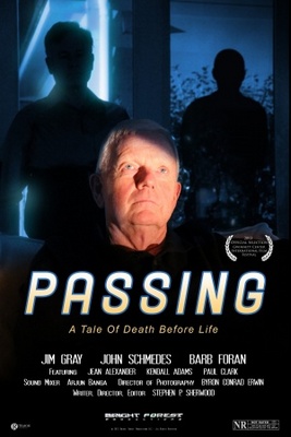 Passing movie poster (2013) Poster MOV_19409eda