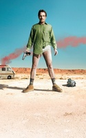 Breaking Bad movie poster (2008) Poster MOV_1b074573