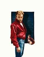 Rebel Without a Cause movie poster (1955) Poster MOV_1c9c9bb3