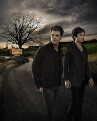 The Vampire Diaries movie posters (2009) posters