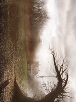 The Conjuring movie poster (2013) Poster MOV_1eeea842