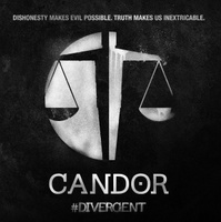 Divergent movie poster (2014) t-shirt #MOV_1f4e22d1