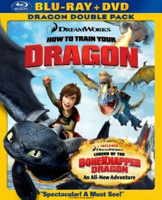 How to Train Your Dragon movie poster (2010) mug #MOV_1fbbb0d5
