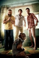 The Hangover Part II movie poster (2011) t-shirt #MOV_221ae7a4