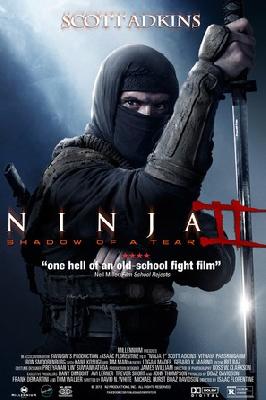 Ninja: Shadow of a Tear movie posters (2013) poster