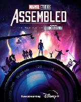 Marvel Studios: Assembled movie posters (2021) hoodie #3685139