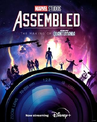 Marvel Studios: Assembled movie posters (2021) hoodie