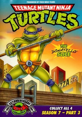 Teenage Mutant Ninja Turtles movie poster (1987) Poster MOV_232796d6