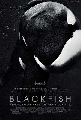 Blackfish movie poster (2013) Poster MOV_242be21f