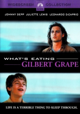 What's Eating Gilbert Grape movie poster (1993) Poster MOV_243c0a25