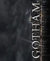 Gotham movie poster (2014) hoodie #1235924