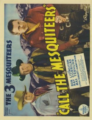 Call the Mesquiteers movie poster (1938) poster