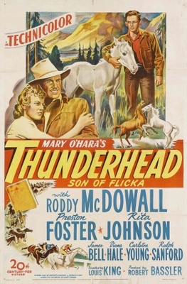 Thunderhead - Son of Flicka movie poster (1945) poster