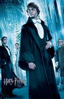 Harry Potter and the Goblet of Fire movie poster (2005) Poster MOV_282e336c