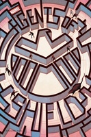 Agents of S.H.I.E.L.D. movie poster (2013) t-shirt #MOV_284ea389