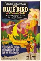 The Blue Bird movie poster (1940) t-shirt #MOV_28a26714