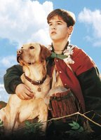 Far from Home: The Adventures of Yellow Dog movie poster (1995) Poster MOV_290d3378