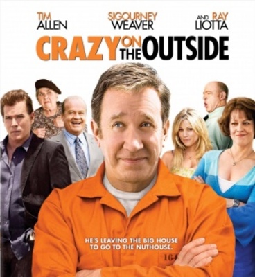 Crazy on the Outside movie poster (2010) poster