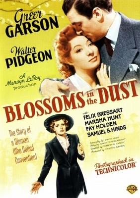 Blossoms in the Dust movie poster (1941) mug