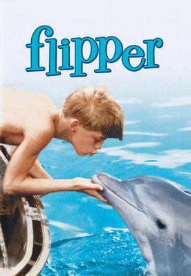 Flipper movie poster (1963) Poster MOV_2b2c0773