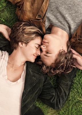 The Fault in Our Stars movie poster (2014) Poster MOV_2bb96fe2