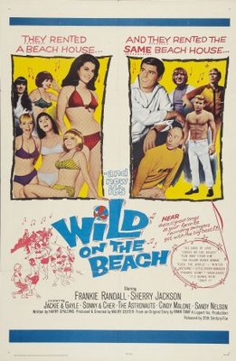 Wild on the Beach movie poster (1965) calendar