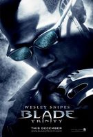 Blade: Trinity movie poster (2004) Longsleeve T-shirt #652351