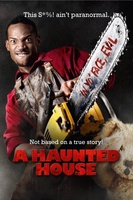 A Haunted House movie poster (2013) Poster MOV_2f07f07e