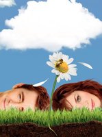 Pushing Daisies movie poster (2007) Poster MOV_30178a42