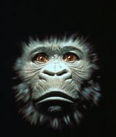 Congo movie poster (1995) hoodie #651808