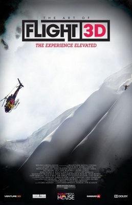 The Art of Flight movie poster (2011) calendar