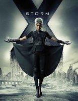X-Men: Days of Future Past movie poster (2014) hoodie #1164009