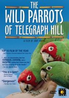 The Wild Parrots of Telegraph Hill movie poster (2003) Poster MOV_36cfbe2d