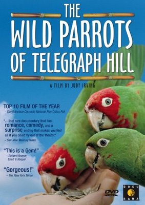 The Wild Parrots of Telegraph Hill movie poster (2003) poster
