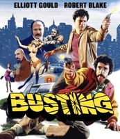 Busting movie poster (1974) Poster MOV_3852021a