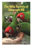 The Wild Parrots of Telegraph Hill movie poster (2003) Poster MOV_39ac8c0f