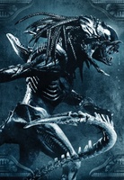 AVPR: Aliens vs Predator - Requiem movie poster (2007) Poster MOV_3d882639