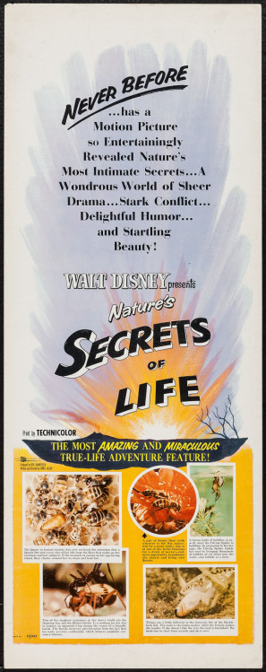 Secrets of Life movie poster (1956) poster