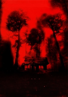 Cabin Fever movie poster (2002) poster