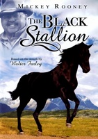 The Black Stallion movie poster (1979) Poster MOV_43a244bb