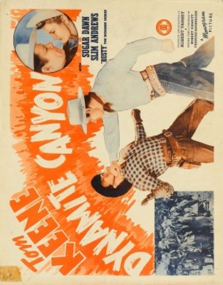 Dynamite Canyon movie poster (1941) poster