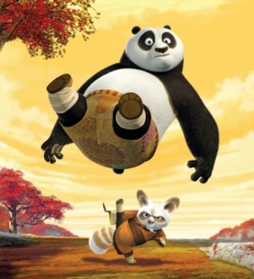 Kung Fu Panda 2 movie poster (2011) hoodie